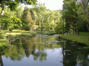 POSTED.image for meant to love you