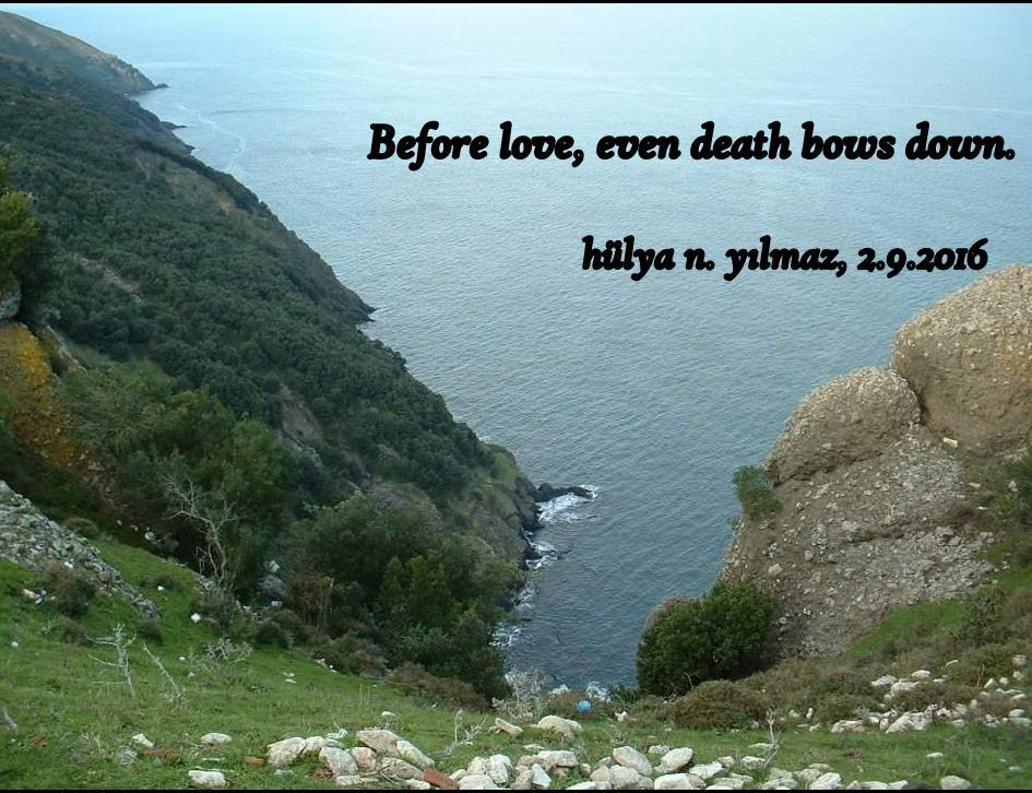 1-Sinop.Baz 11 (2016_02_29 05_30_22 UTC)-001