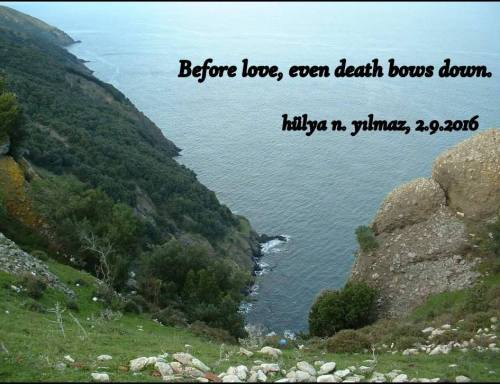 1-Sinop.Baz 11 (2016_02_29 05_30_22 UTC)-001