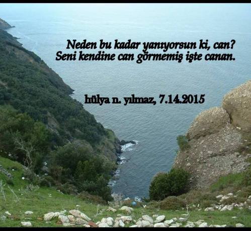 12745810_1302147299800581_3548796866793915236_n[1]