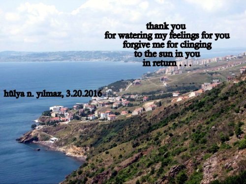 1-AYNI PANORAMIK MANZARA MI.166877_490639709710_4252019_n-003