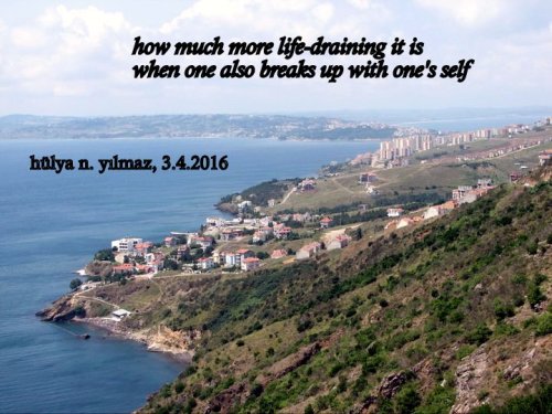 AYNI PANORAMIK MANZARA MI.166877_490639709710_4252019_n-005