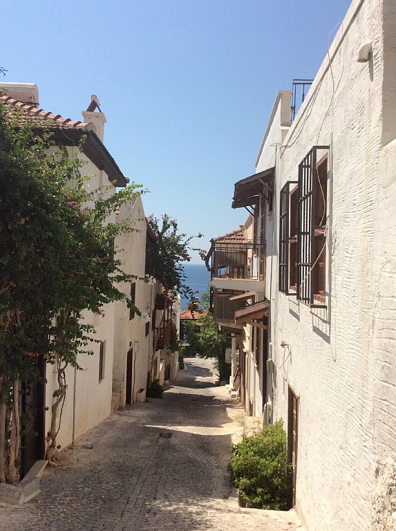 9d46521d-21c0-49e2-92ee-3f11f6c4a556-1